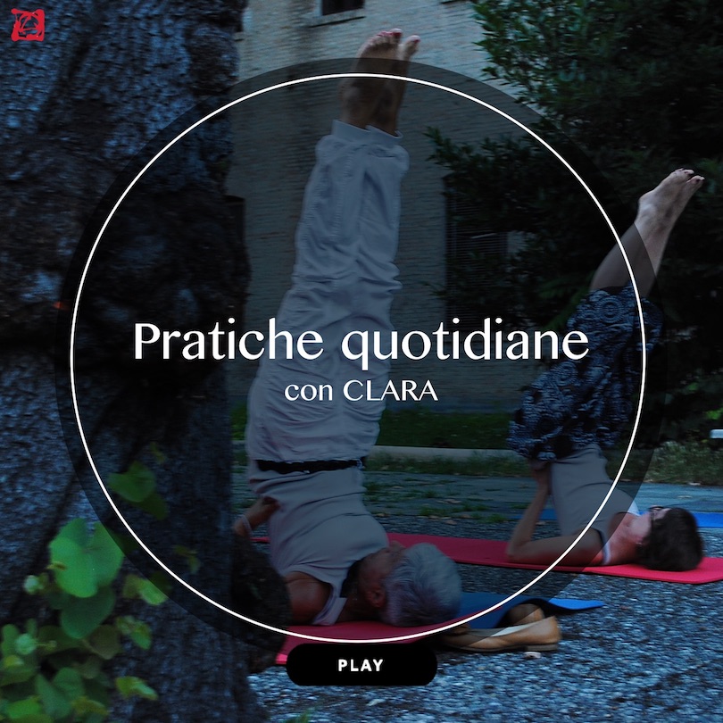 Clara quotidiane